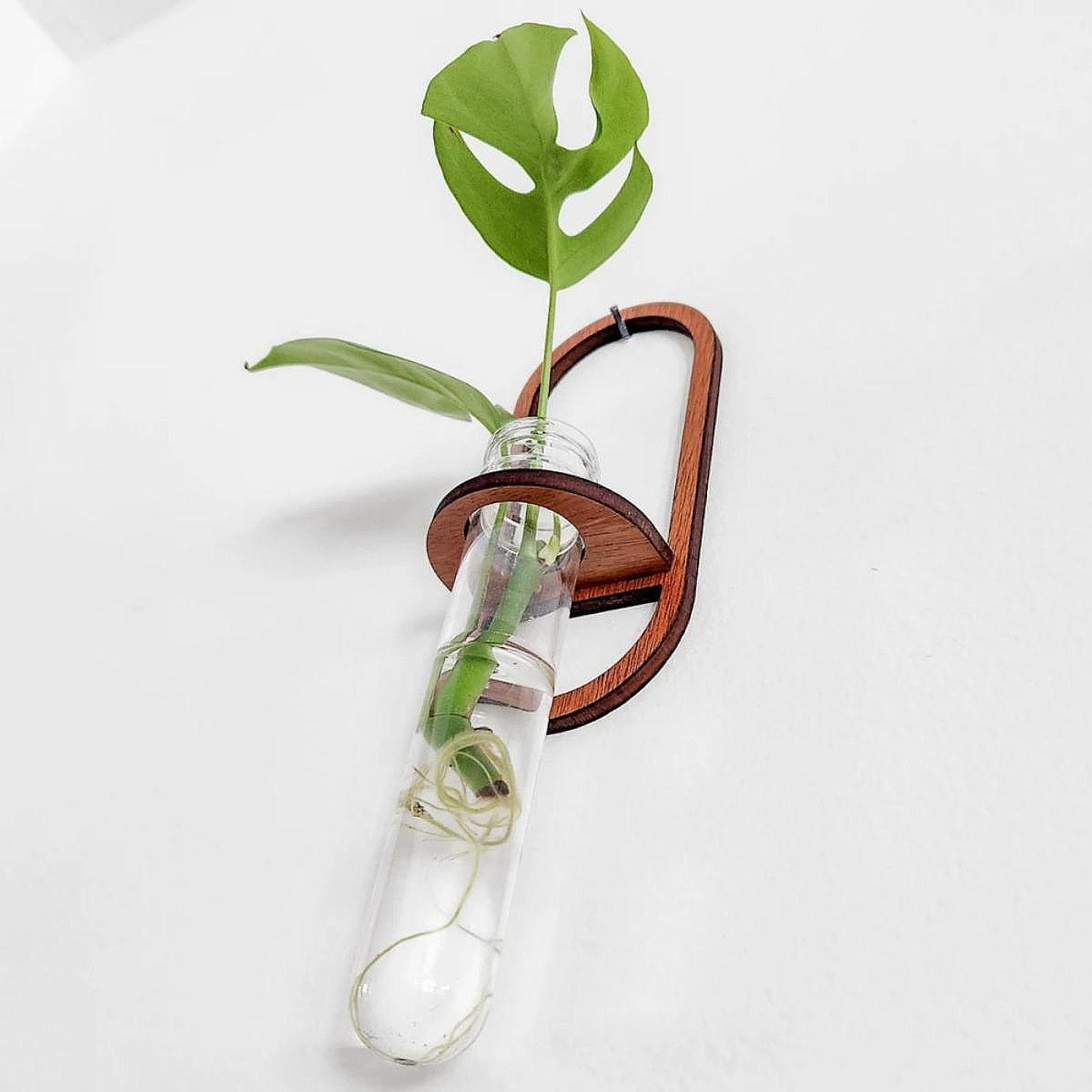 Hydroponic Plant Vase Wooden W - Propagation Station Vase 评论和价格