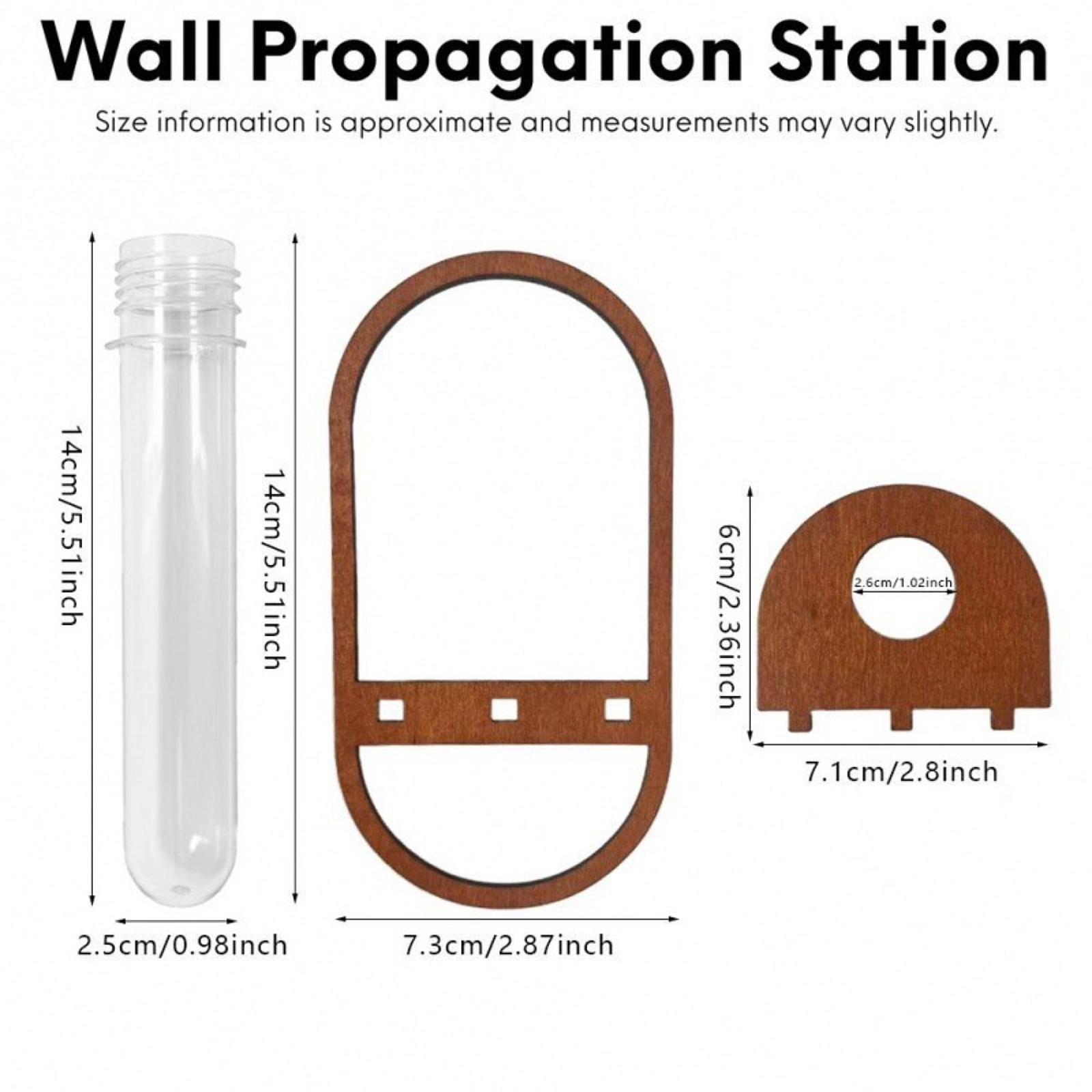 Hydroponic Plant Vase Wooden W - Propagation Station Vase 评论和价格
