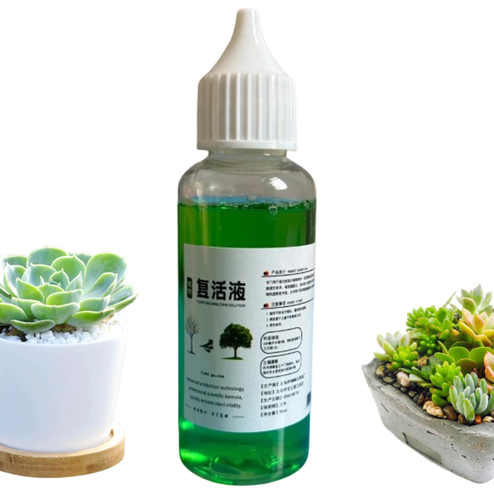 Root Stimulator for Plants Liq - Root Stimulator Liquid 评论和价格