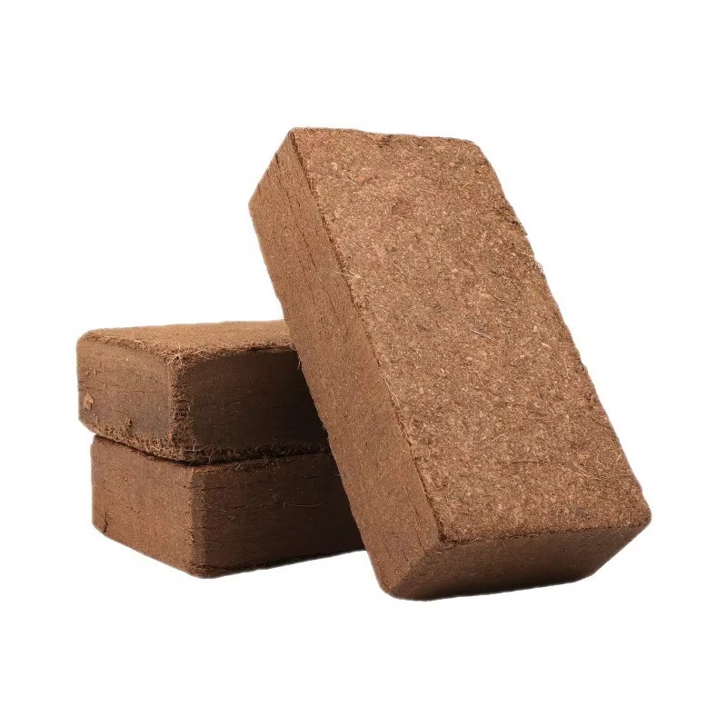 Reptile Bedding Compressed Coc - Sphagnum Moss Dry 评论和价格