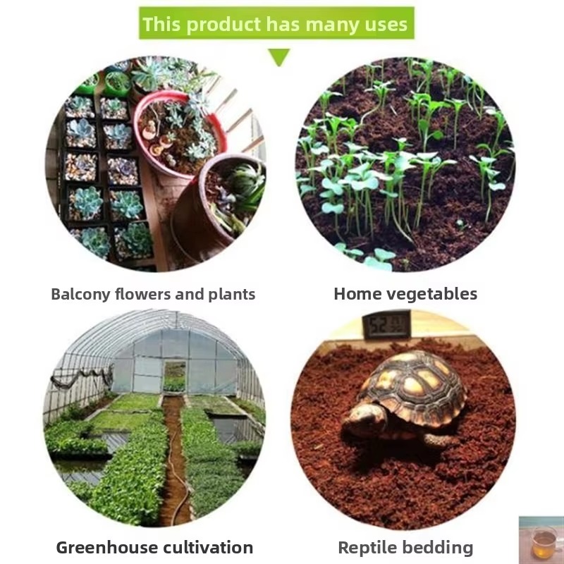 Reptile Bedding Compressed Coc - Sphagnum Moss Dry 评论和价格