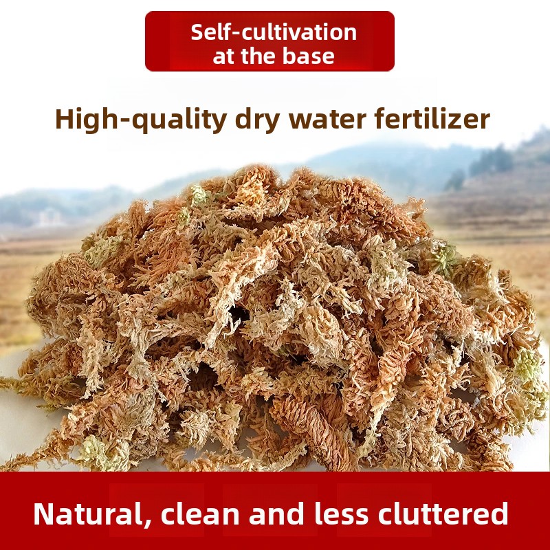Grade A Dried Sphagnum Moss, N - Sphagnum Moss Dry 评论和价格