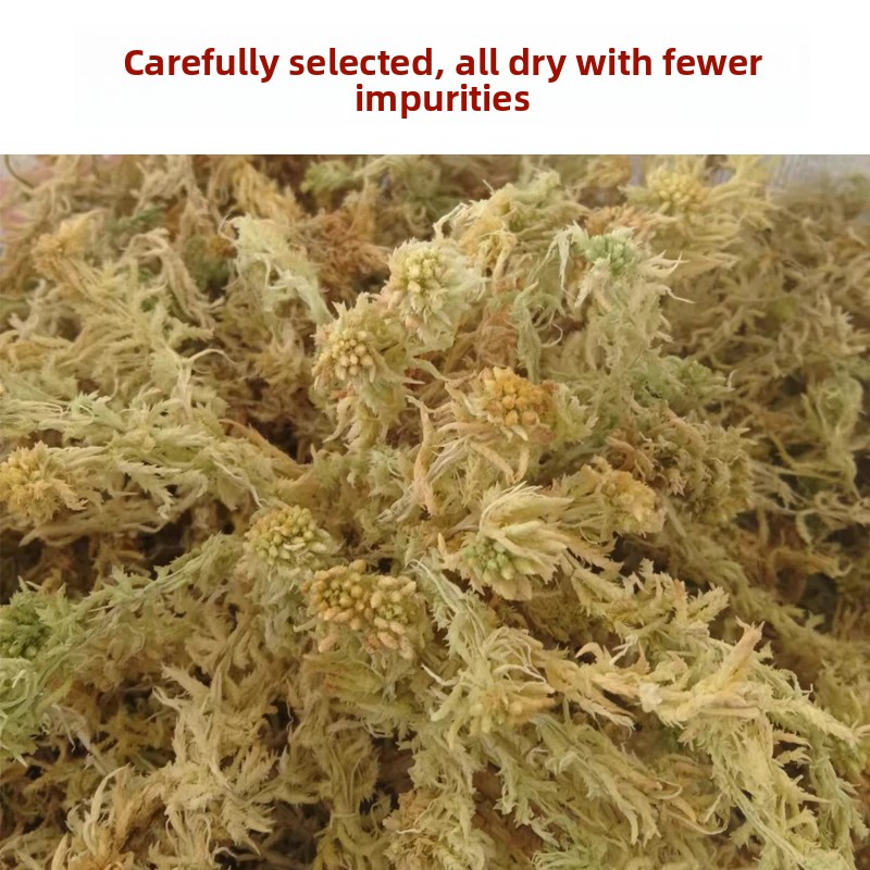 Grade A Dried Sphagnum Moss, N - Sphagnum Moss Dry 评论和价格