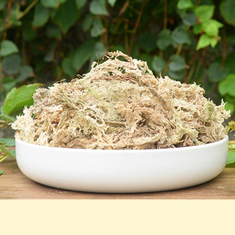 Reptile Terrarium Sphagnum Mos - Sphagnum Moss Dry 评论和价格