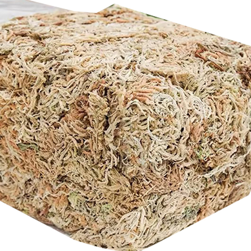 Reptile Terrarium Sphagnum Mos - Sphagnum Moss Dry 评论和价格