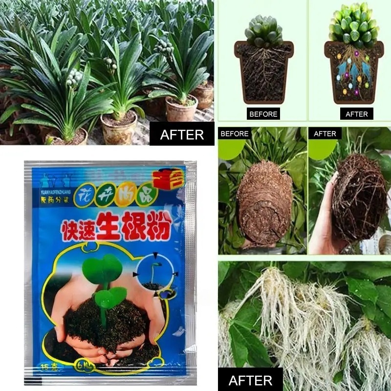 5pcs Fast Rooting Powder Plant - Root Stimulator Liquid 评论和价格