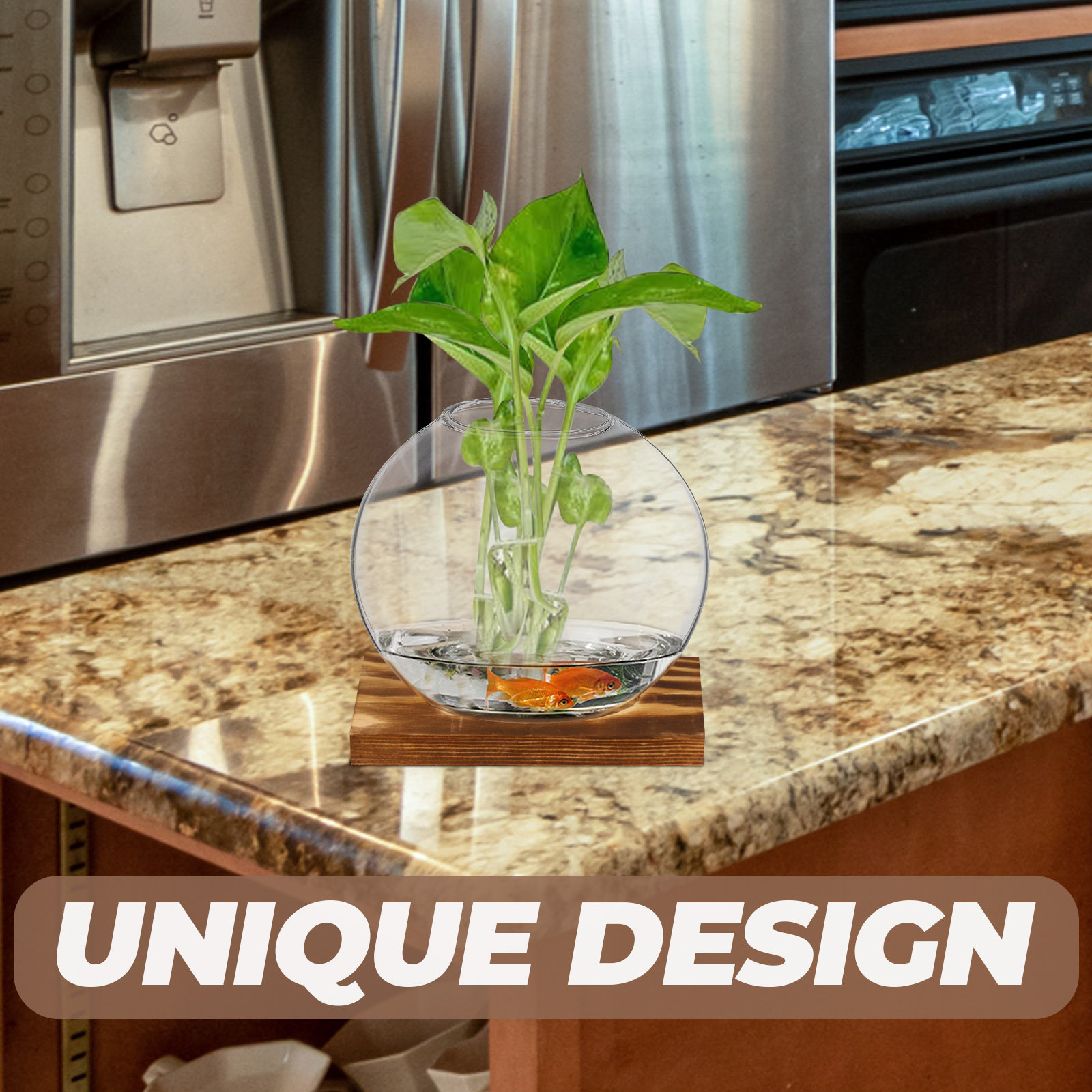 2Sets Glass Small Plant Vase F - Propagation Station Vase 评论和价格