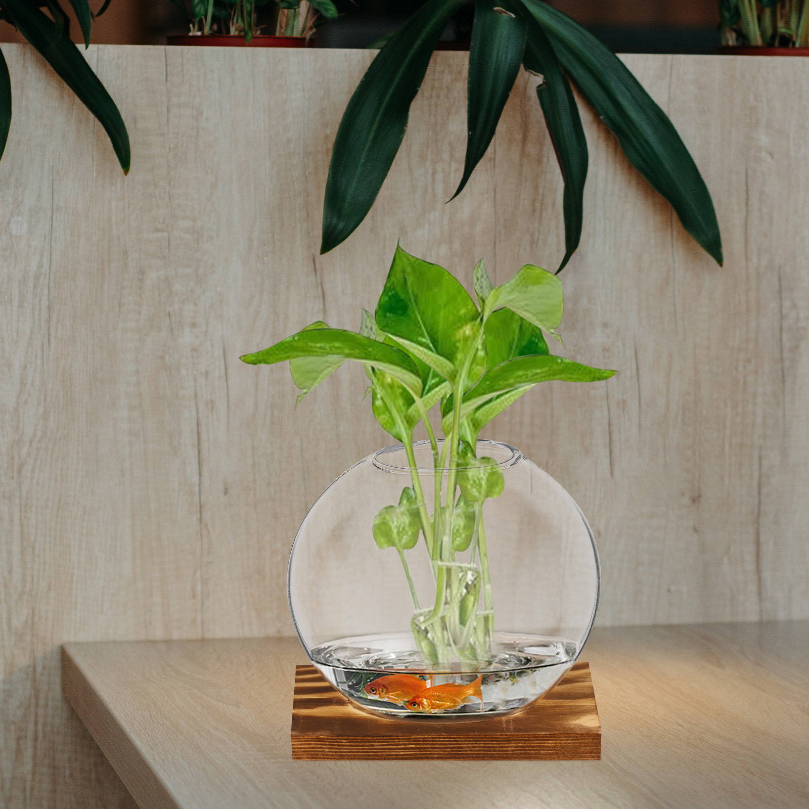2Sets Glass Small Plant Vase F - Propagation Station Vase 评论和价格