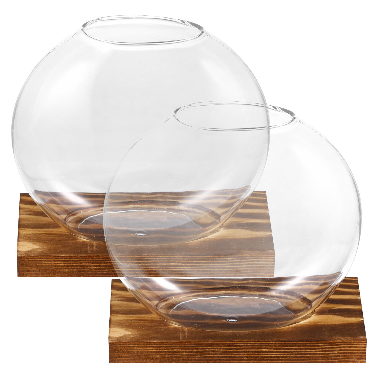 2Sets Glass Small Plant Vase F - Propagation Station Vase 评论和价格